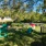 Dog Park
