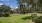 Dog Park