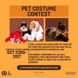 🐶🎃🐱Tag us in your stories and posts of your dressed up pet 🐶🎃🐱
We can’t wait to see all the adorable costumes you come up with! Instagram post from @towncenteratlakesidevillage on October 21, 2021 13:03:03pm